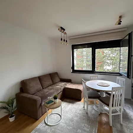 Ivor Among The Pines * Zlatibor